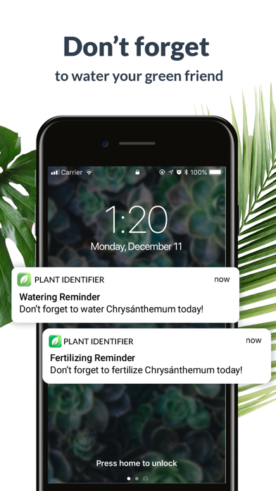 Tangkapan layar Plant Identification Lite