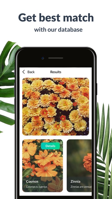 Tangkapan layar Plant Identification Lite