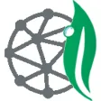DEW Wealth Management DEW Wealth Management