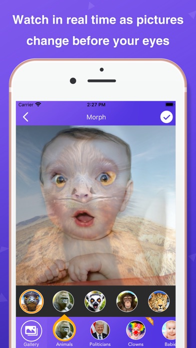 Pic Morph - Photo Face Swap スクリーンショット