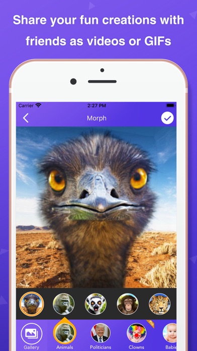 Pic Morph - Photo Face Swap スクリーンショット