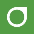 Dexcom G6 Dexcom G6