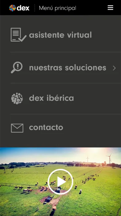 Скриншоты dex ibérica mobile