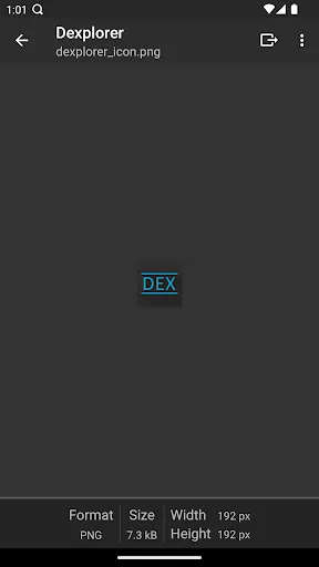 Capturas de pantalla de Dexplorer