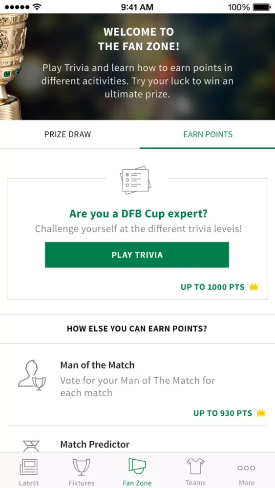 Скриншоты DFB-Cup