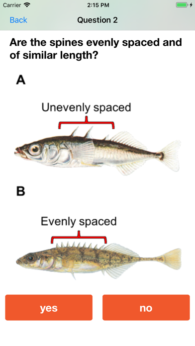 صور Baitfish Primer