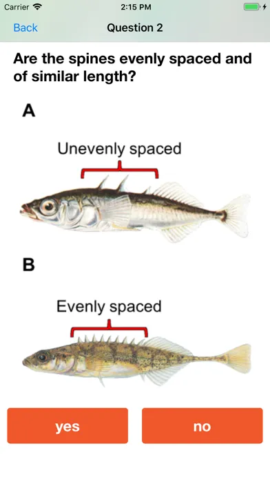Baitfish Primer Screenshots