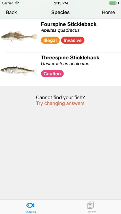 Baitfish Primer Screenshots