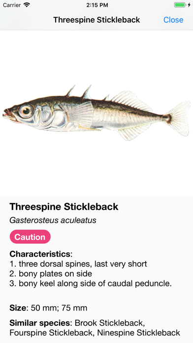 صور Baitfish Primer