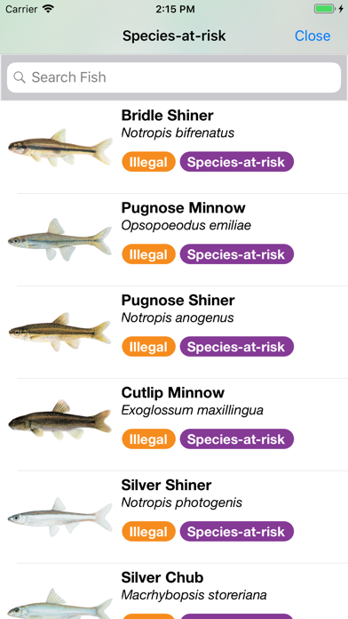 صور Baitfish Primer