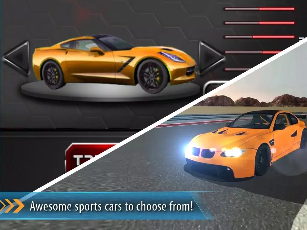 Precision 3D Car Parking-Street Parking Vehicle Test Drive and Transporter Truck Simulator iPad  स्क्रीनशॉट