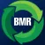 8th BMR Conference