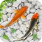 Fish Live Wallpaper Aquarium