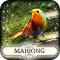 Hidden Mahjong: Garden Paradise