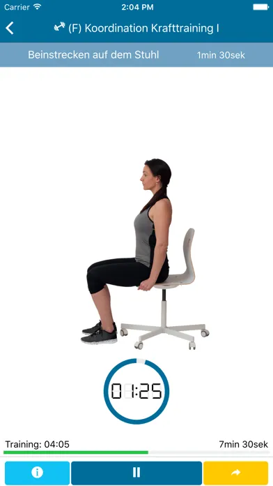Capturas de tela do DGIM - DocFit