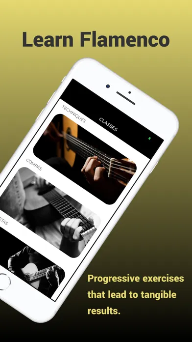 Learn Flamenco Guitar Screenshots