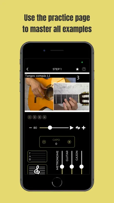 Learn Flamenco Guitar Screenshots