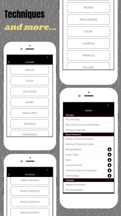 Learn Flamenco Guitar Screenshots