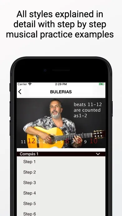 Learn Flamenco Guitar Screenshots