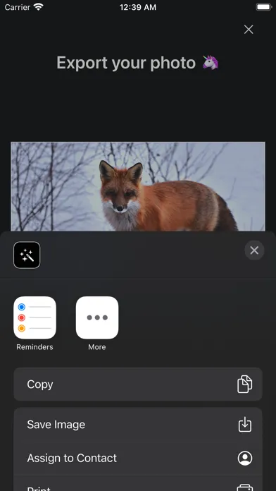 Luca - Photo Editor & Filters Screenshots