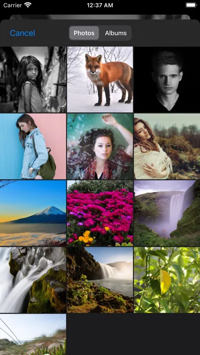 Luca - Photo Editor & Filters Screenshots