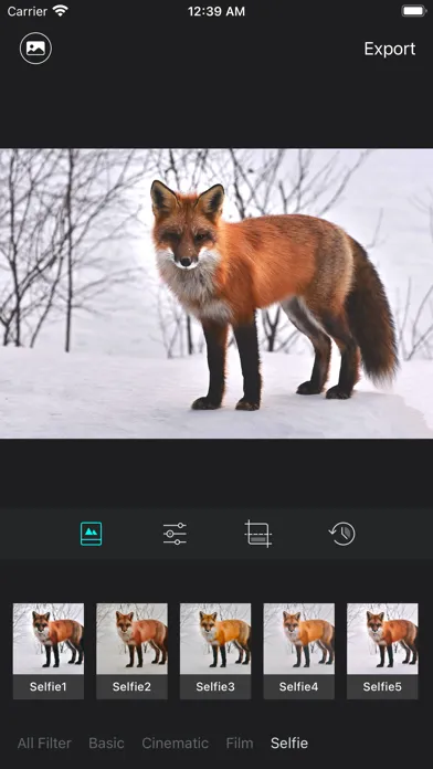 Luca - Photo Editor & Filters Screenshots
