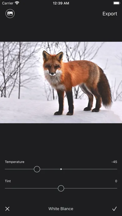 Luca - Photo Editor & Filters Screenshots