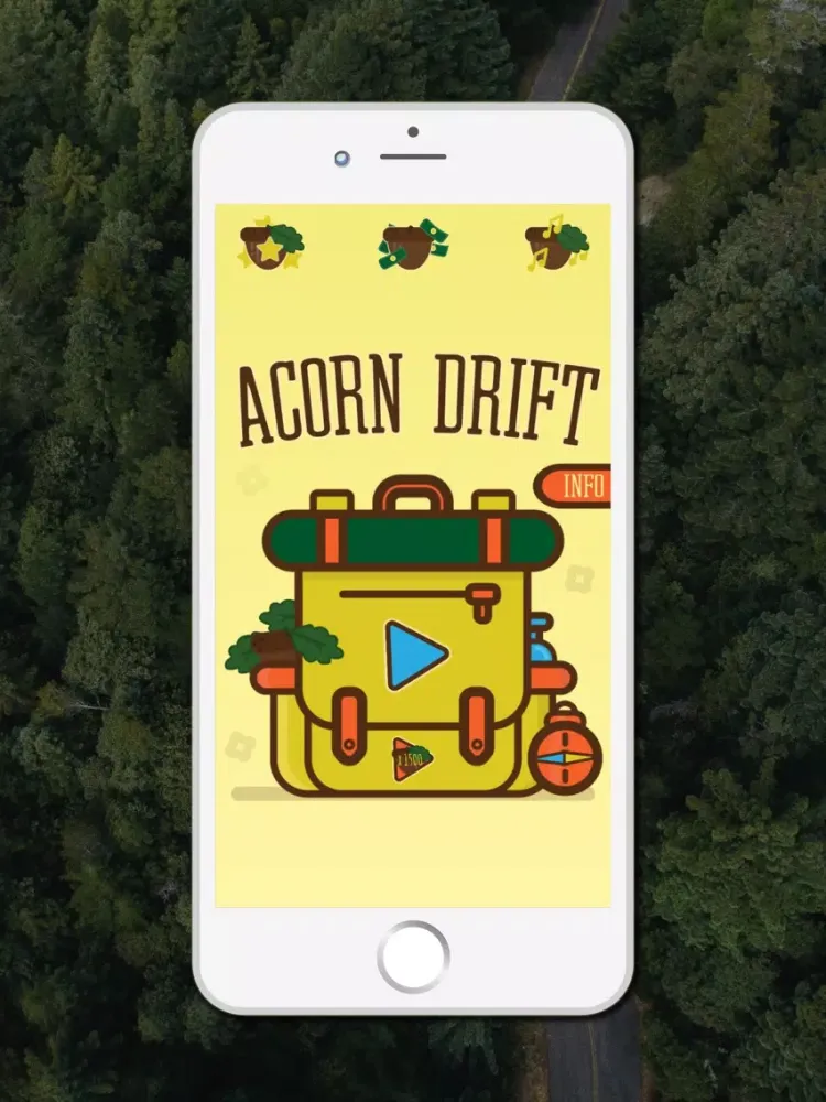 صور Acorn Drift iPad 