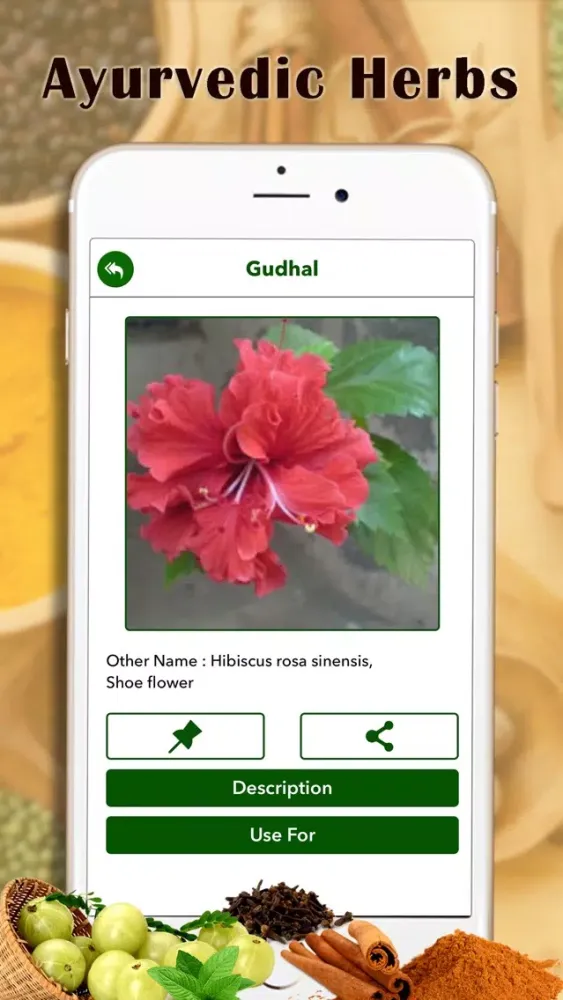 Скриншоты Ayurvedic Plants and Herbs