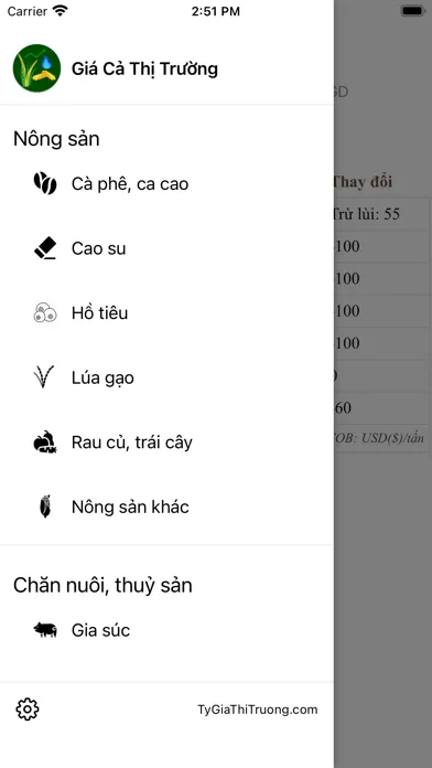 تصاویر Gia Ca Thi Truong