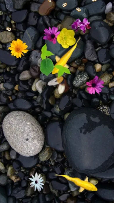 Screenshot di Pond Koi Lite