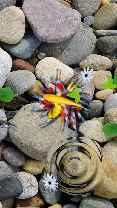 Screenshot di Pond Koi Lite