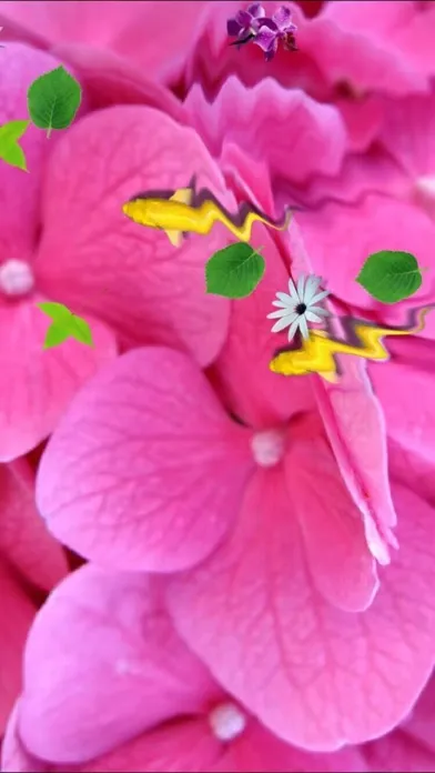 Screenshot di Pond Koi Lite