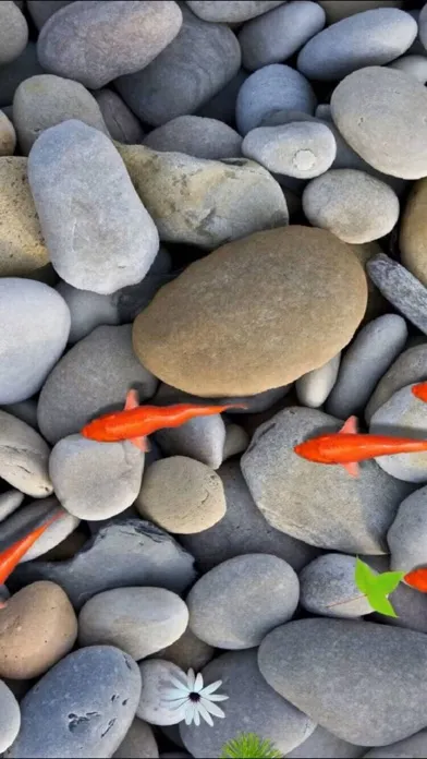 Screenshot di Pond Koi Lite