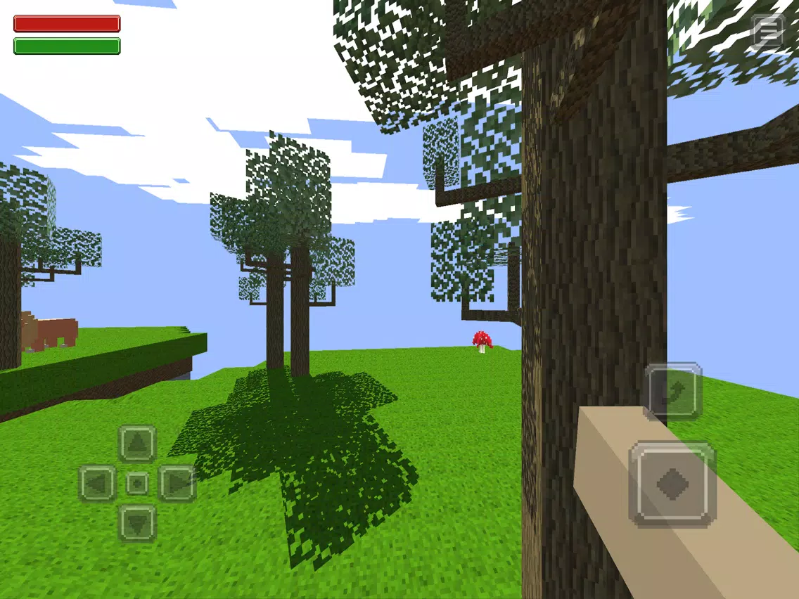 SKYBLOCK (PE) iPad  スクリーンショット