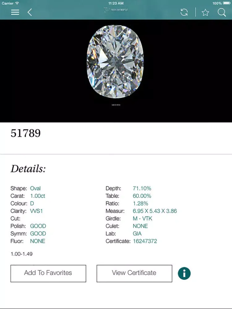 تصاویر Diamining iPad 