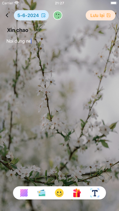 Capturas de pantalla de My Diary