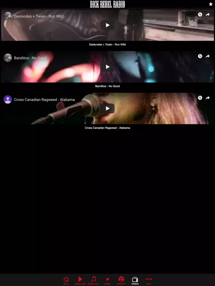 Dick Rebel Radio iPad  سکرین شاٹس