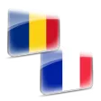 Dictionar Roman Francez