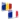Dictionar Roman Francez