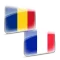 Dictionar Roman Francez