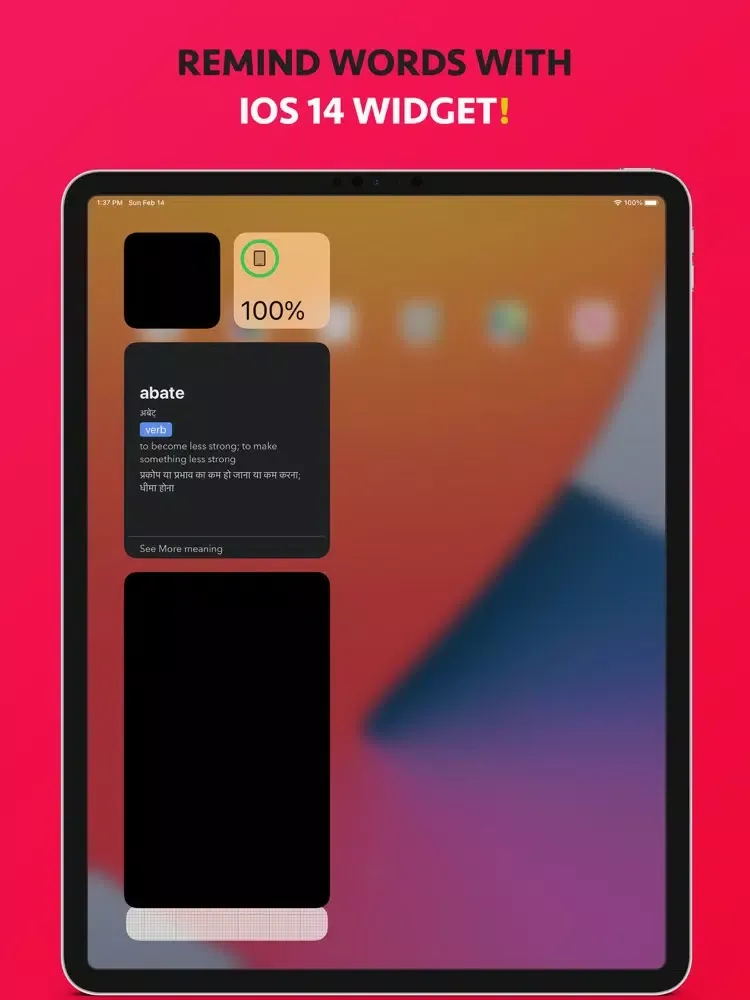 Zrzuty ekranu DictLight अंग्रेजी शब्दकोष iPad 