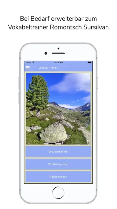 Screenshot di Wortsammlung Sursilvan