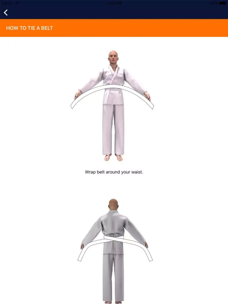 iKarate-Do Free iPad  Screenshots
