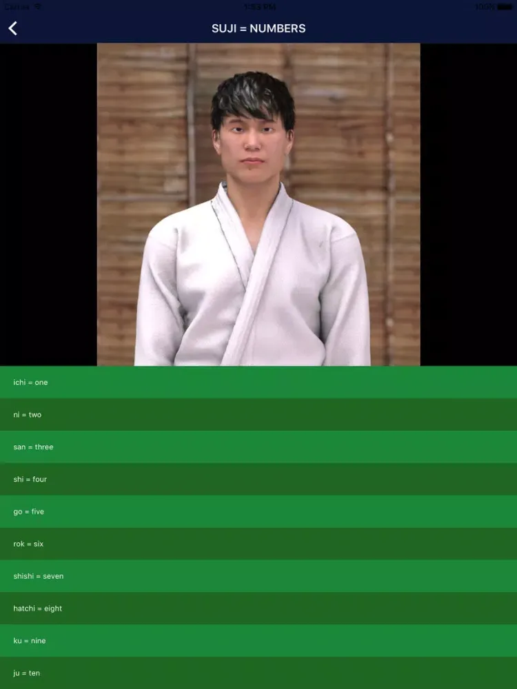 iKarate-Do Free iPad  Screenshots