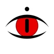 dideye *Flashback video camera