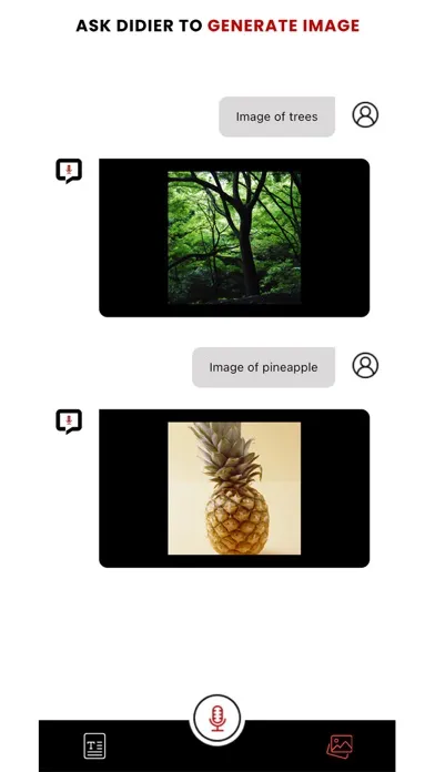 Captures d'écran de Didier AI - Ask Anything
