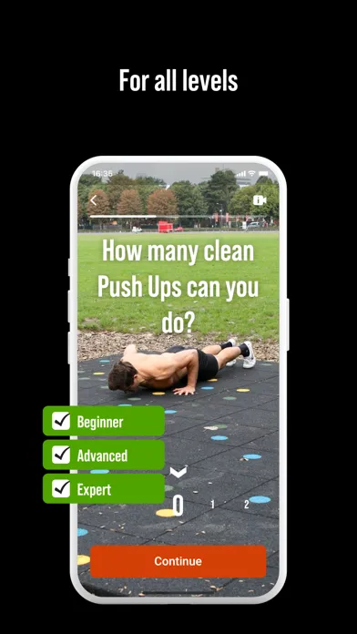 تصاویر DIE RINGE Calisthenics Workout