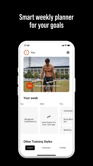تصاویر DIE RINGE Calisthenics Workout