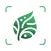 Ai Plant Identifier Tree Weed